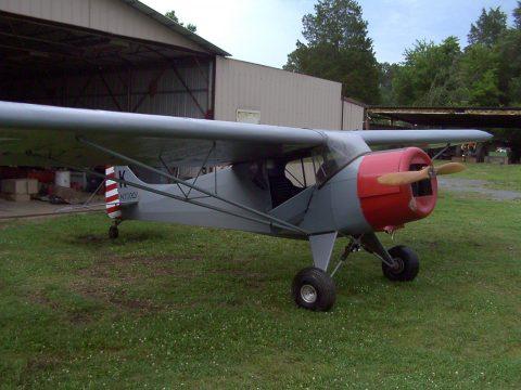Project 1990 Baby Bear Aircraft for sale