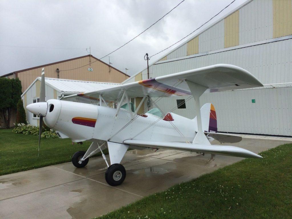 custom leather 1991 Acro Sport II aircraft