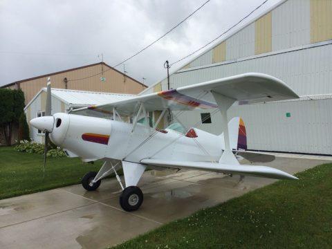 custom leather 1991 Acro Sport II aircraft for sale