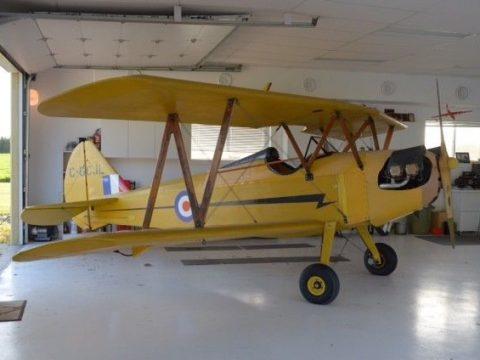 experimental 1989 Bowers Flybaby Biplane for sale