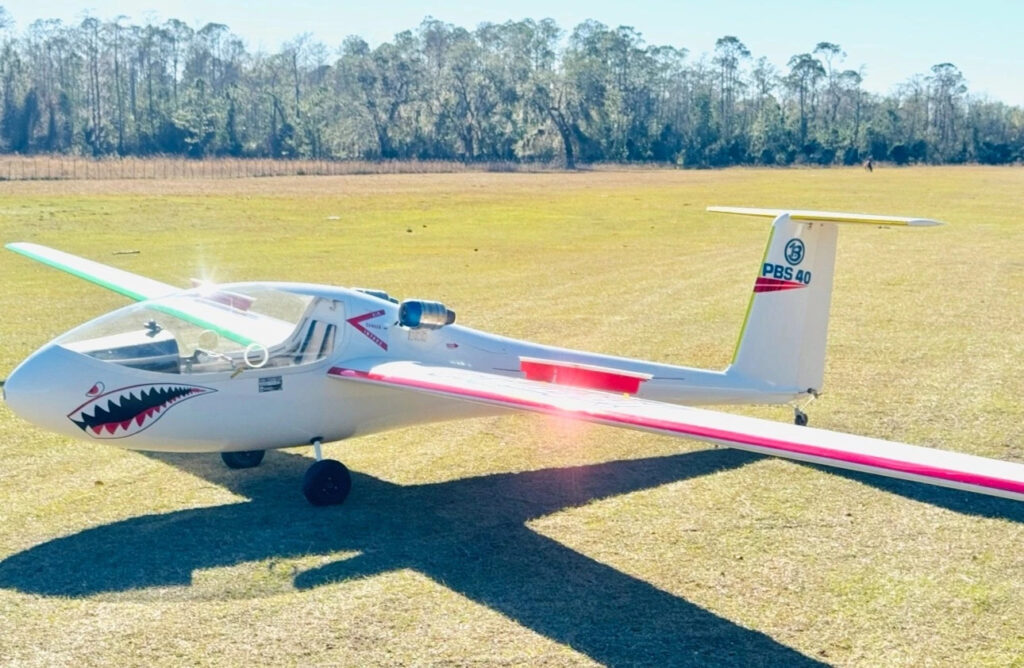 2024 Aerobatic JET Glider TWIN Turbine Airplane