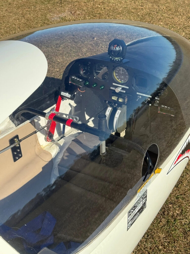 2024 Aerobatic JET Glider TWIN Turbine Airplane